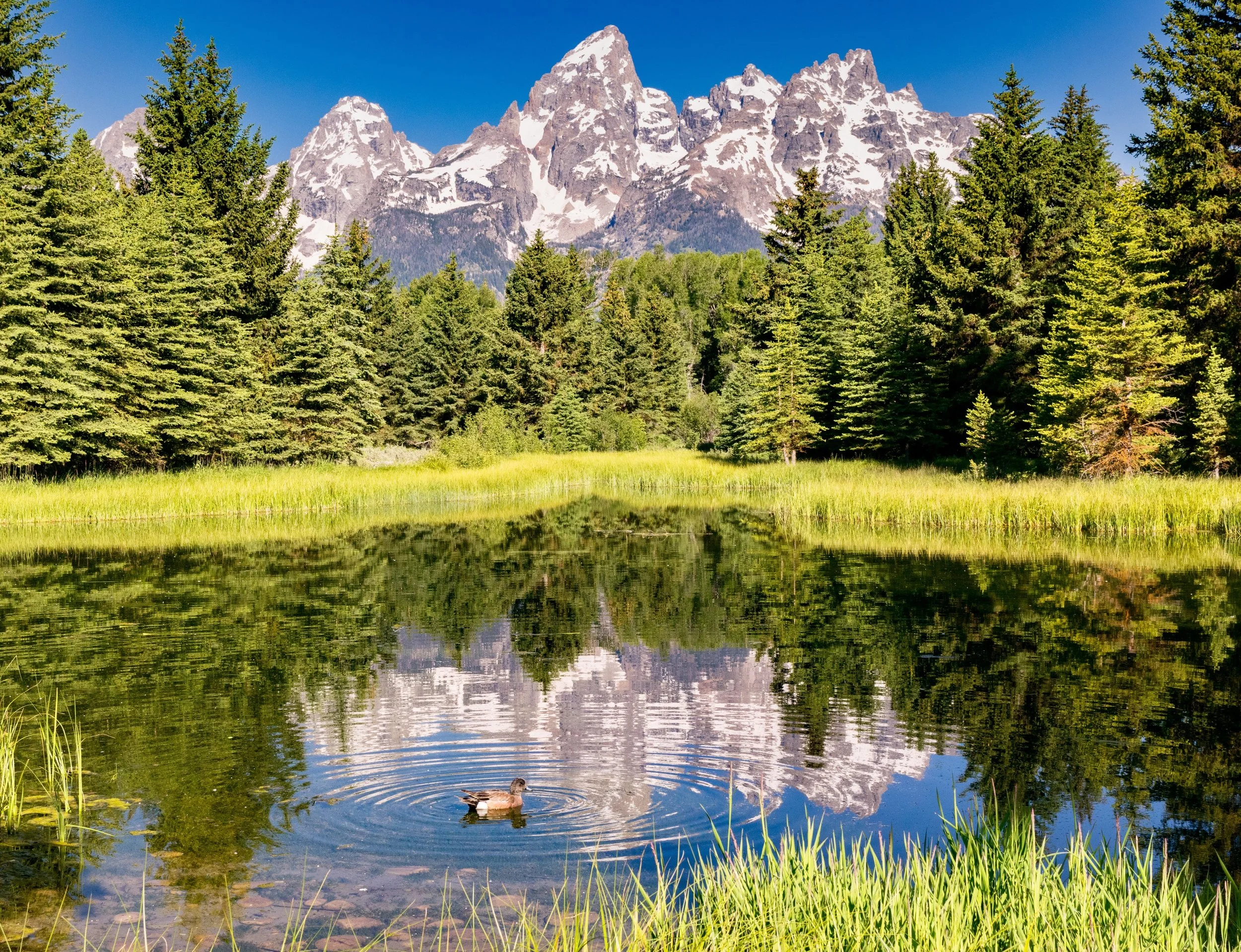 Grand Tetons.jpg