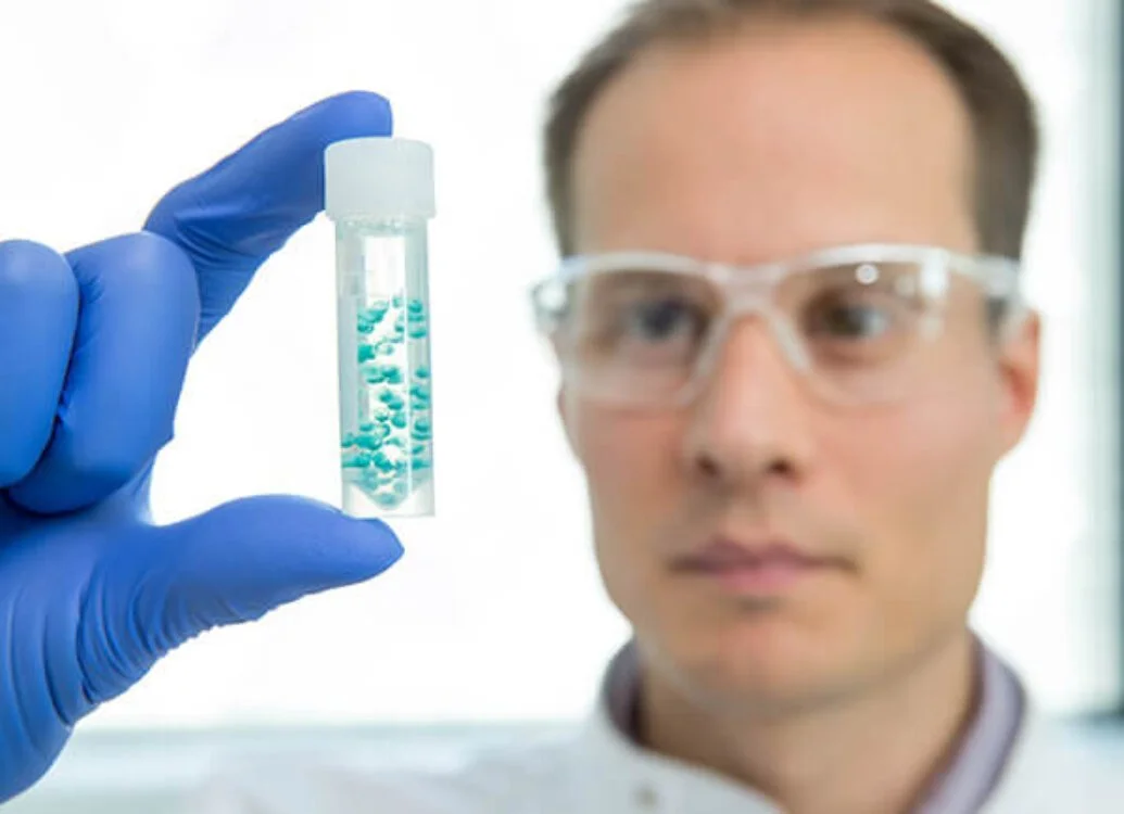 Engineering Biology:  High Impact, High Growth