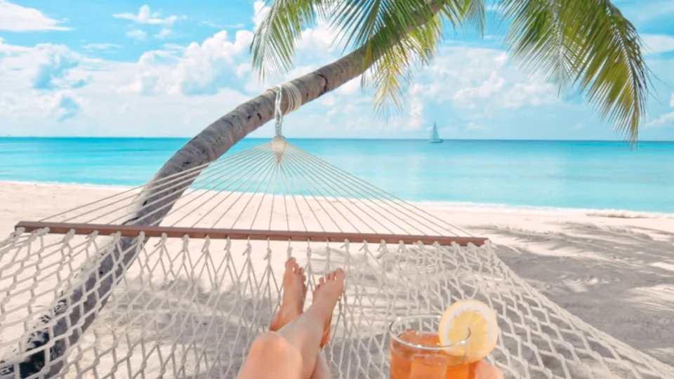 markkohl-hammock.jpg
