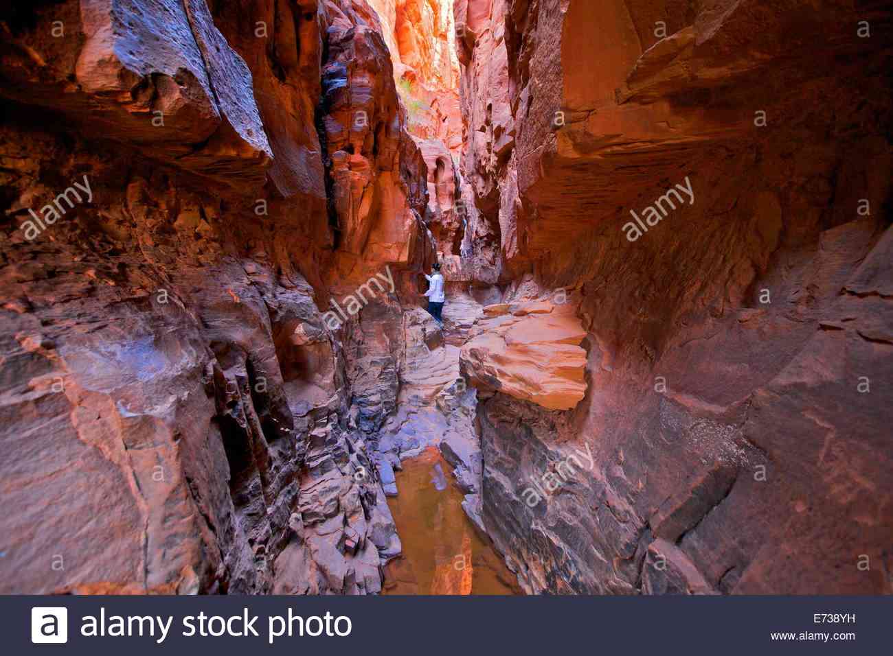 tourist-in-khazali-canyon-wadi-rum-jordan-middle-east-E738YH.jpg