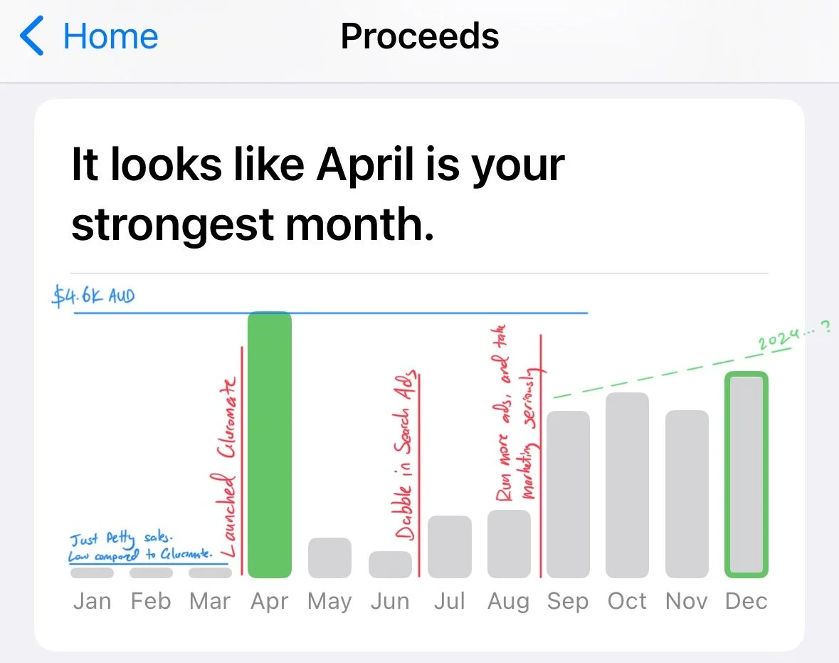 The State of My Software Business: January 2024