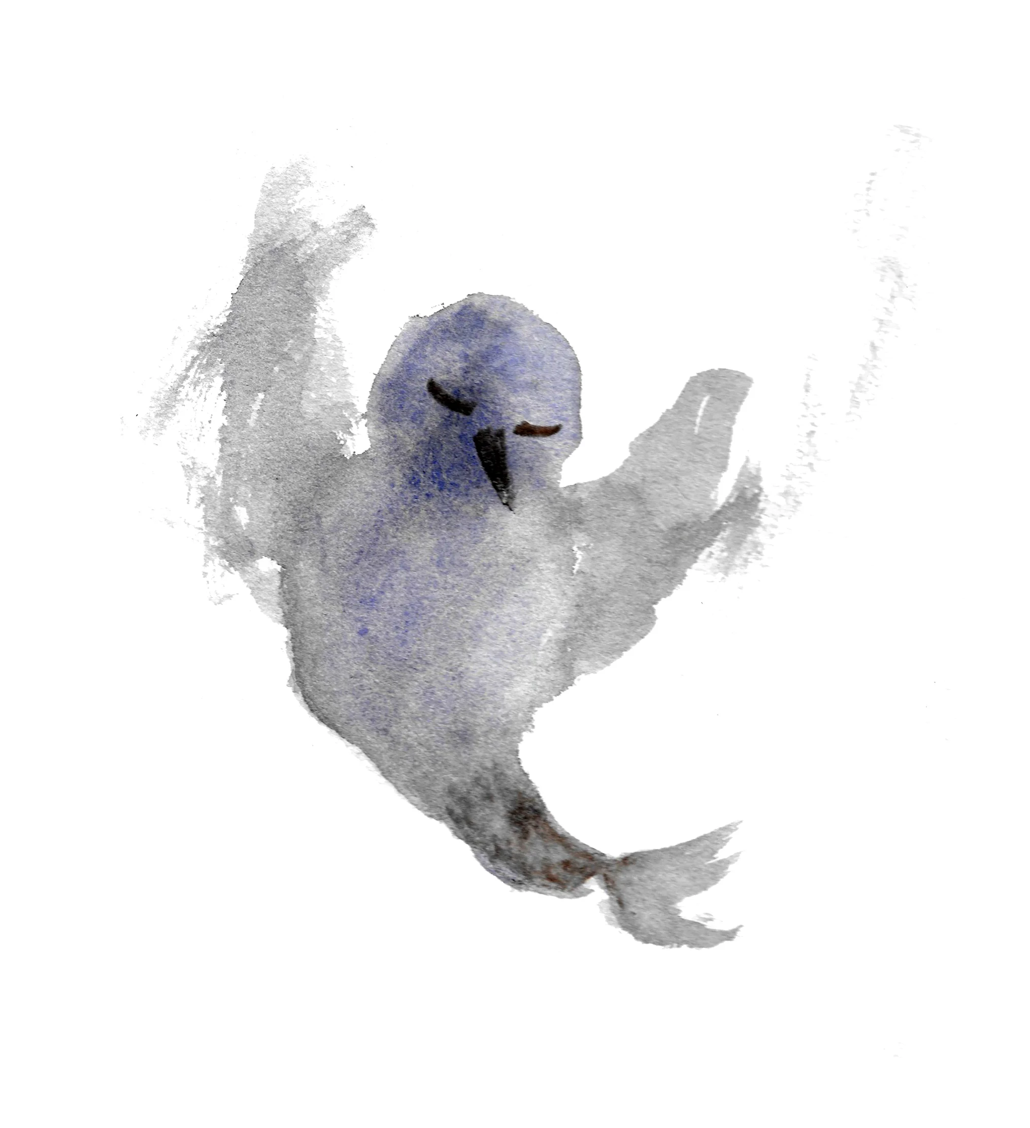 Expressionist bird immagine ritagliata per sito.jpg