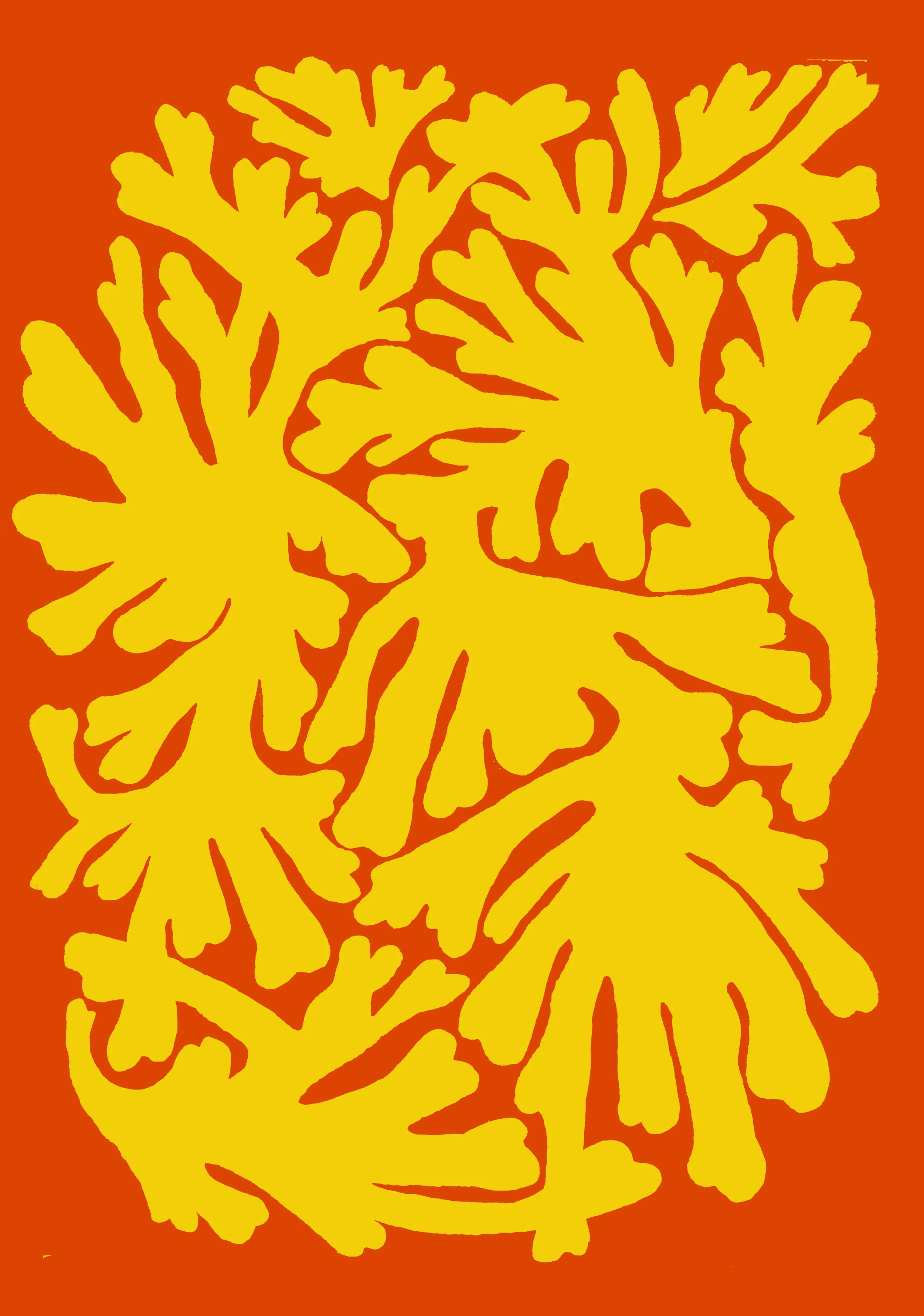 coral.jpg