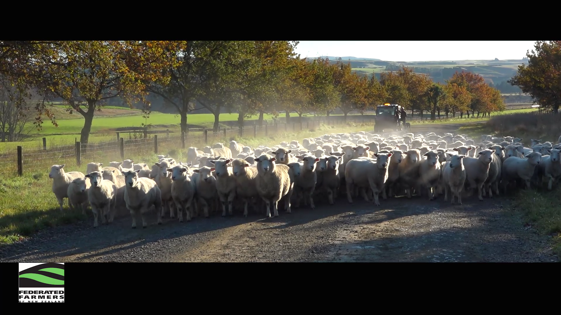 Why Federated Farmers has put up a Gold Scholarship