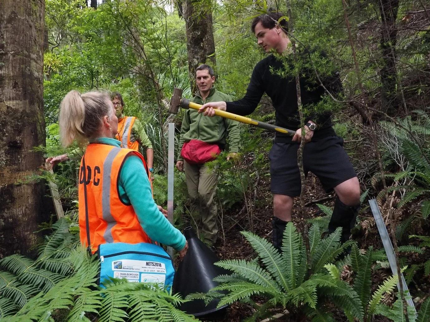 Internship Reports#1 - Louis Davis time at DOC: