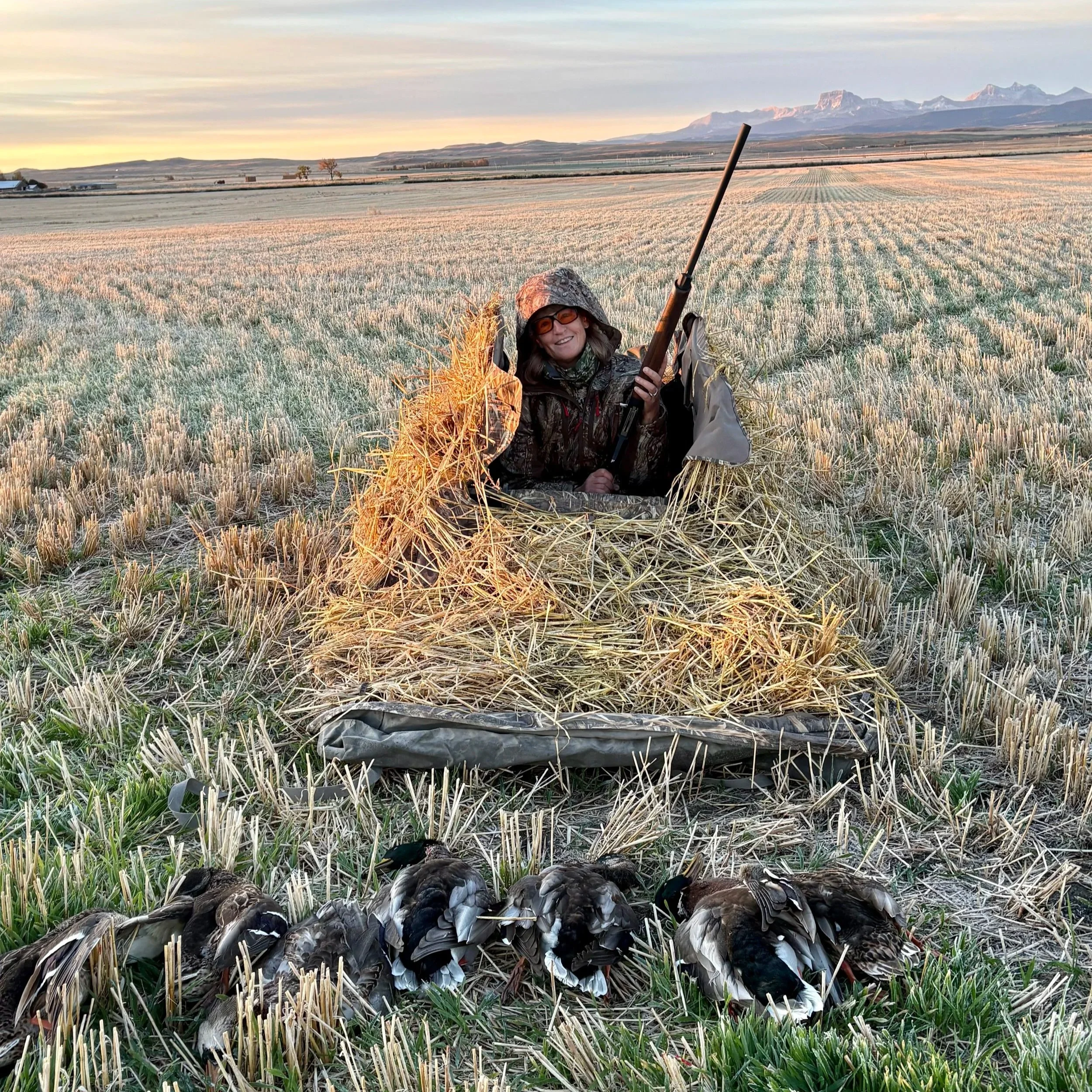 Ducks_AB 2026.jpg