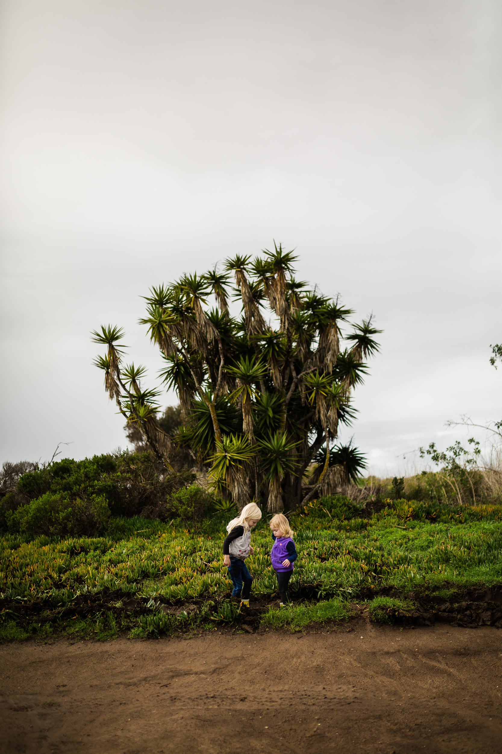Santa_Barbara_Photographer65.jpg