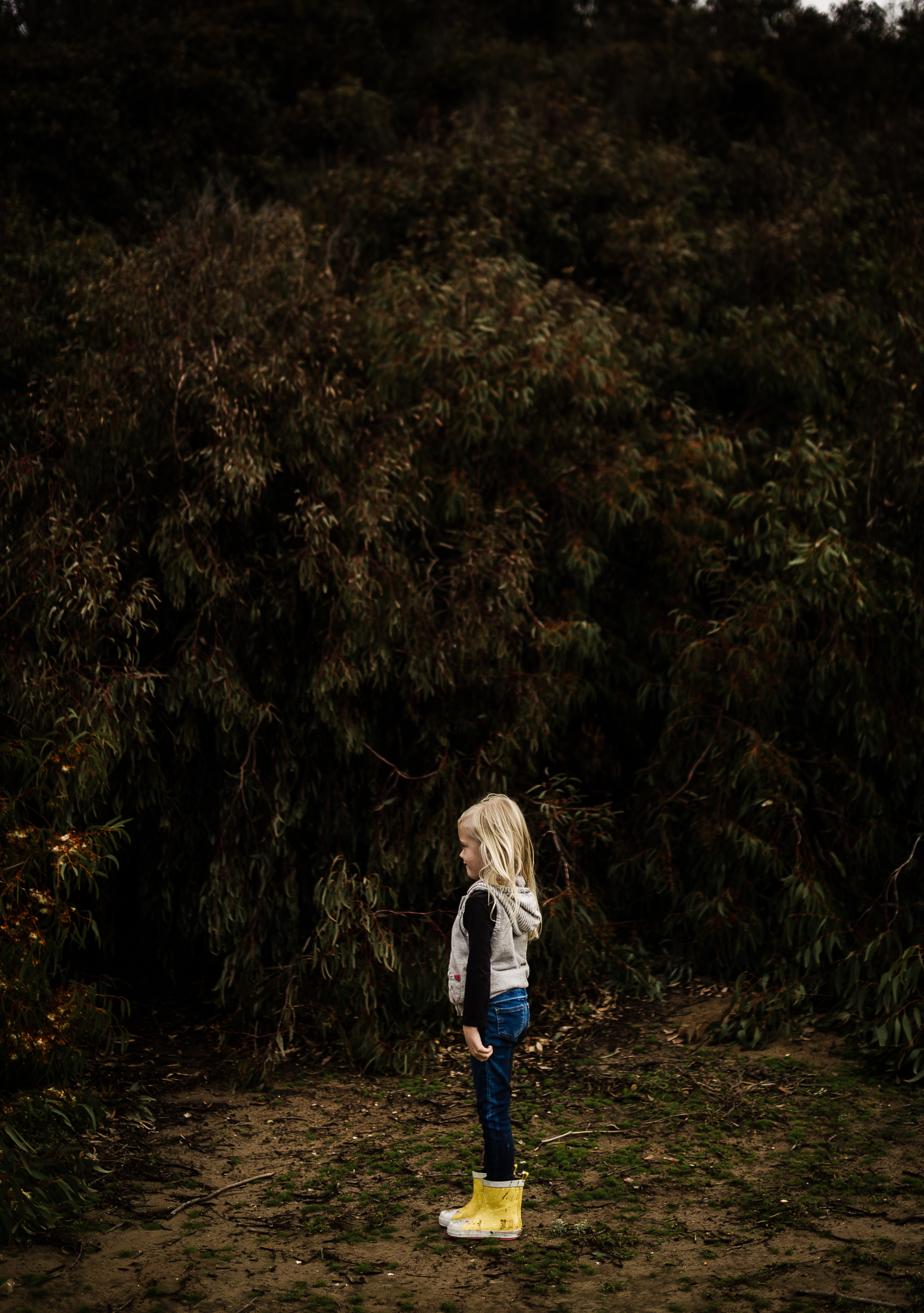 Santa_Barbara_Photographer78.jpg