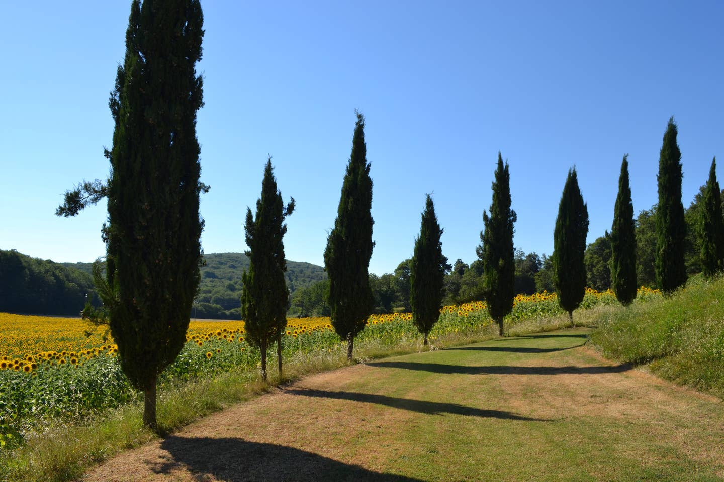 tuscany.jpg