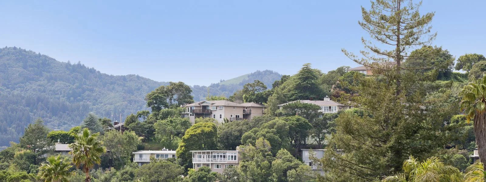 greenbrae 1.jpg