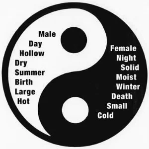 4_yinyangdiagram.jpg