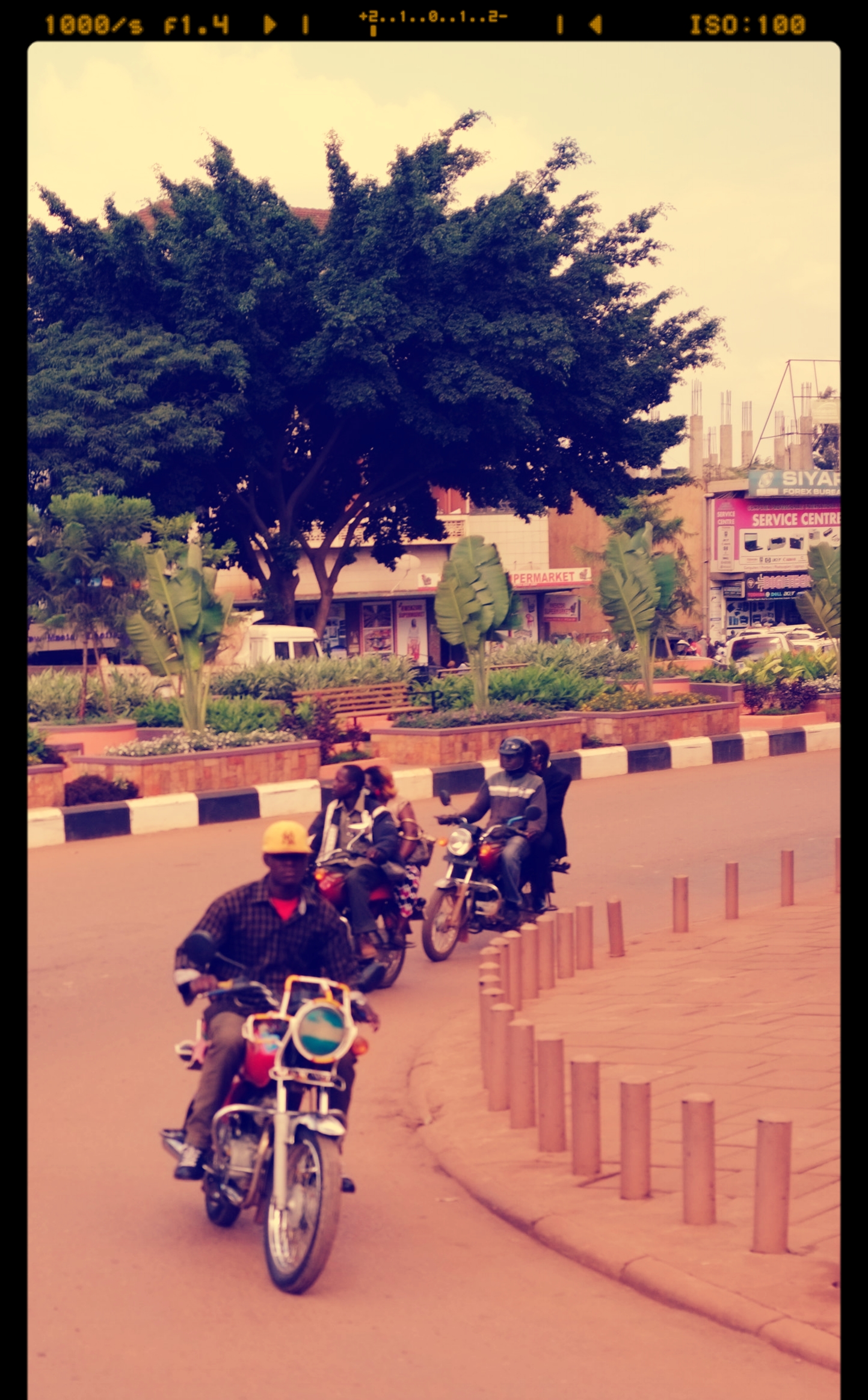 DSCF2167.JPG