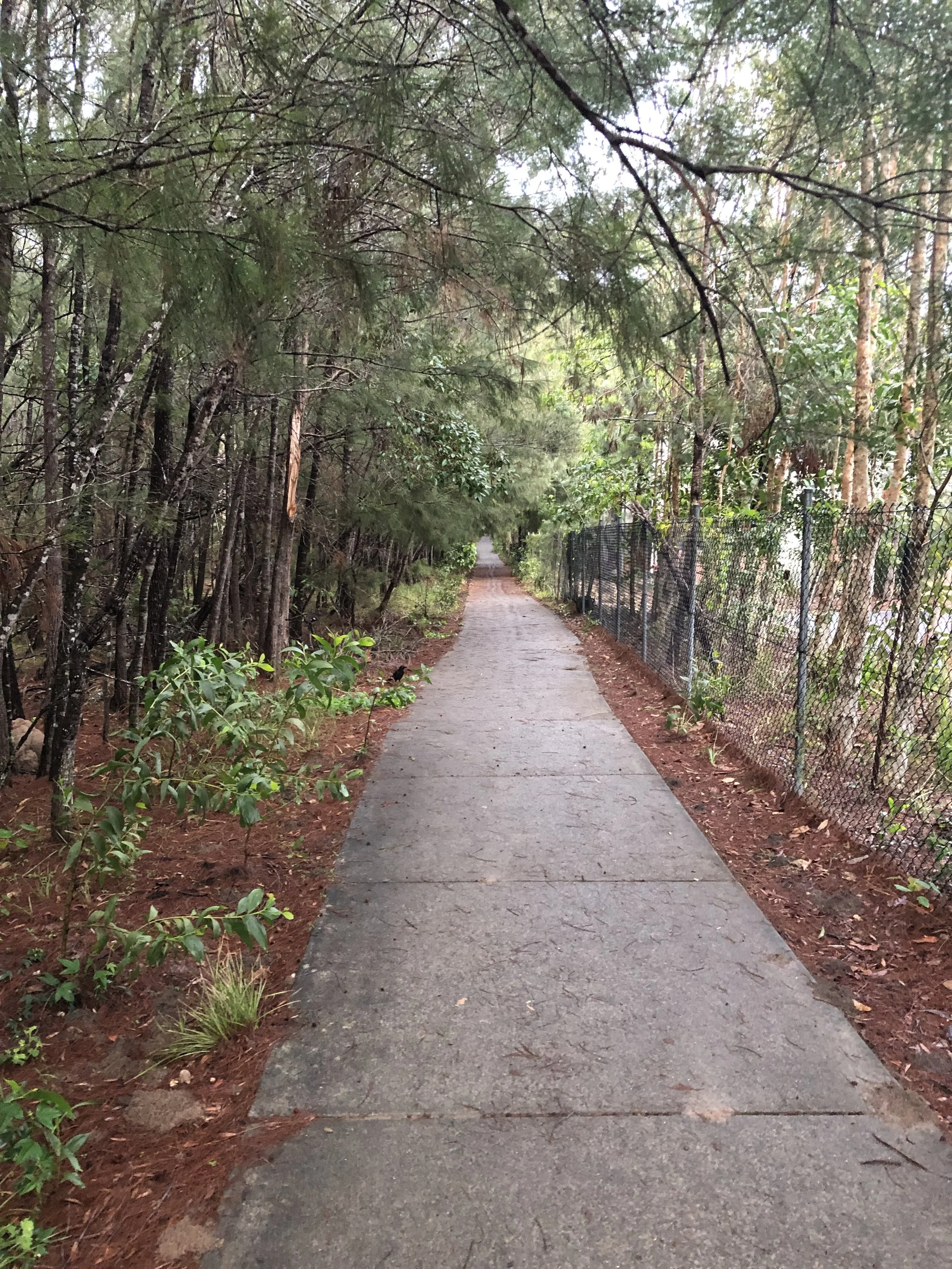 Down the hill - enjoy the journey down.