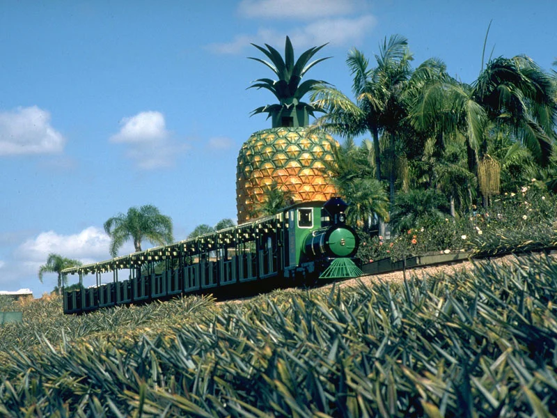 Pineapple.jpg