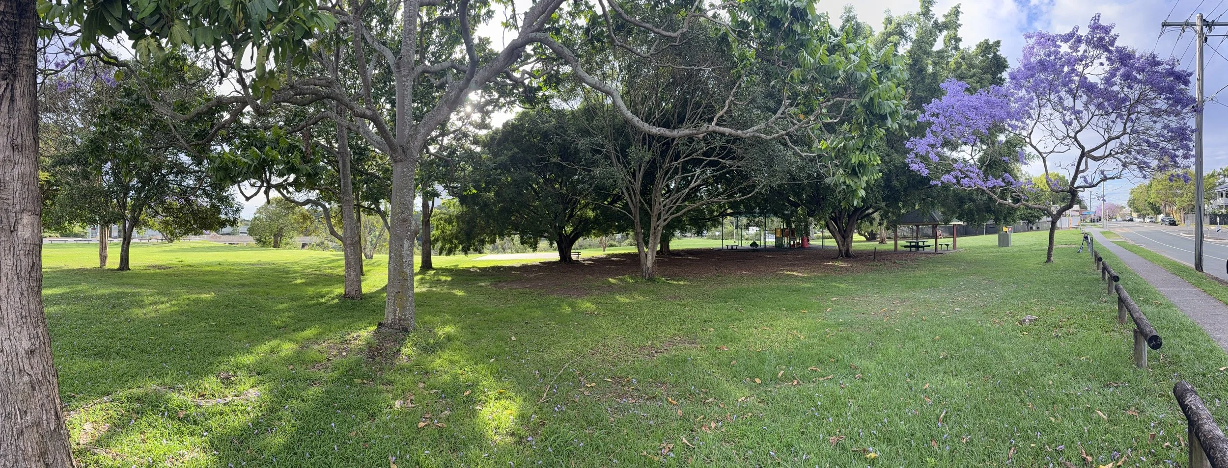 Stones Corner Parkrun: Where Brisbane Comes to Run Fast and DECOMPRESS