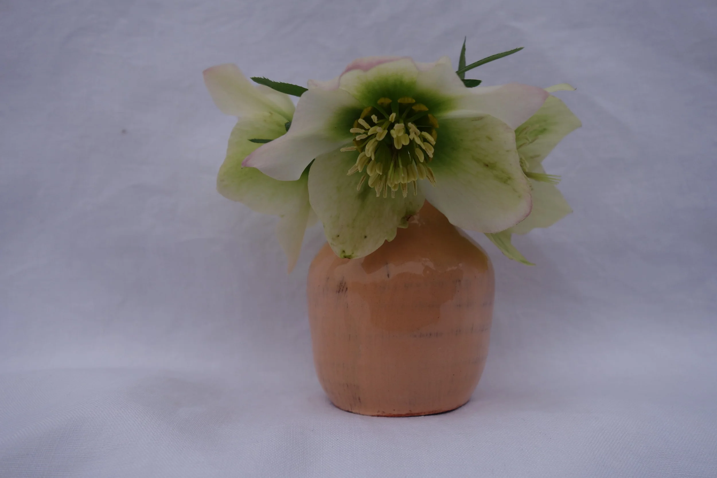 Small Flower Vase