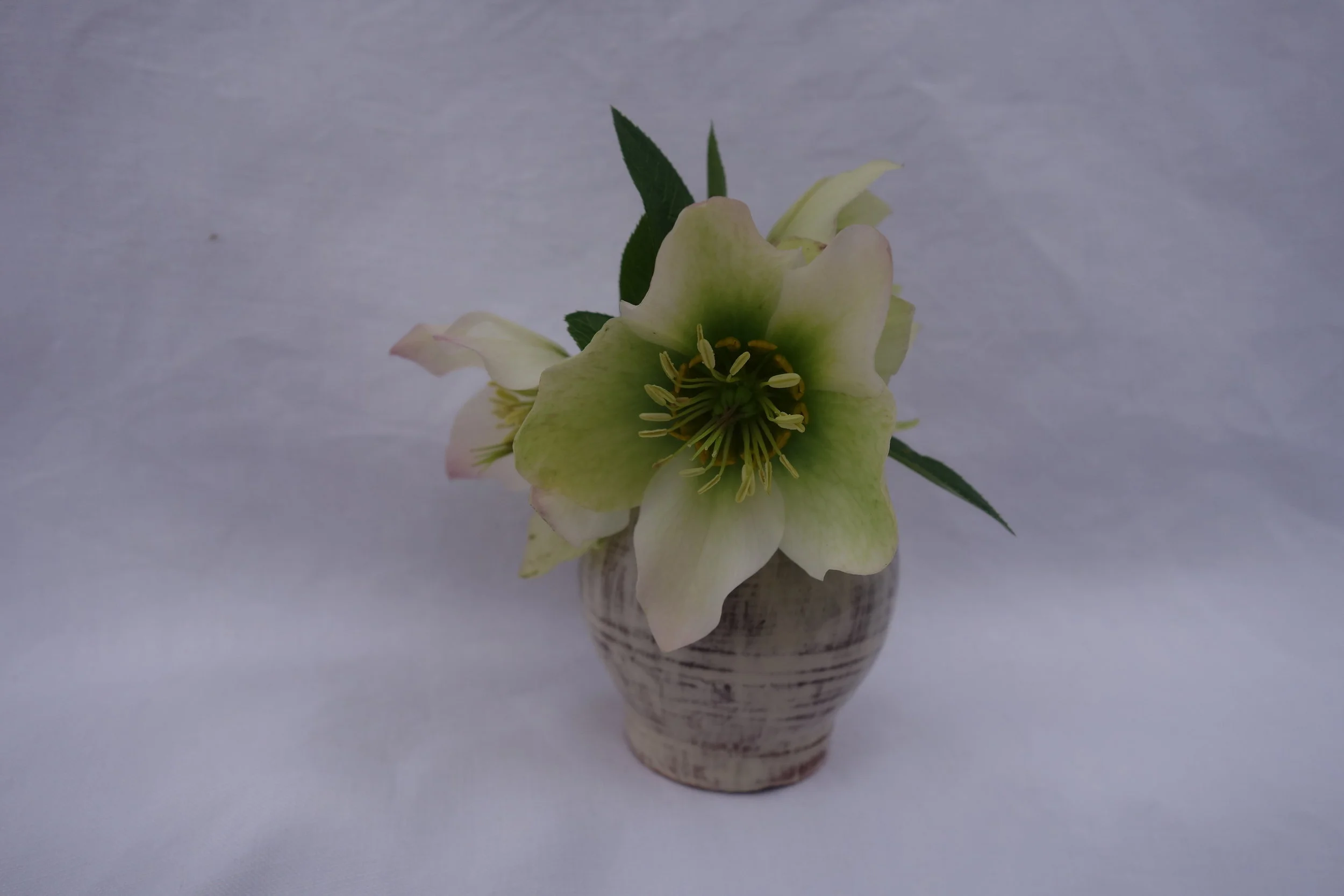Small Flower Vase