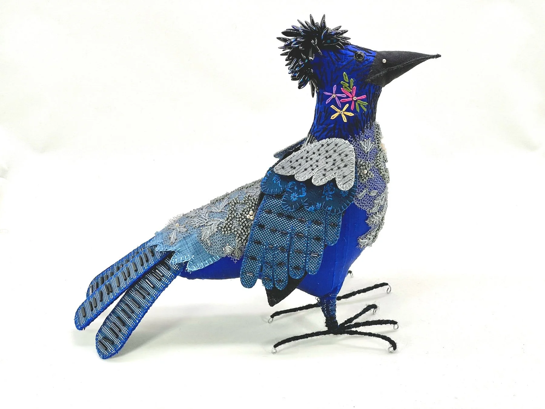 Bride'sStellarJay.jpeg