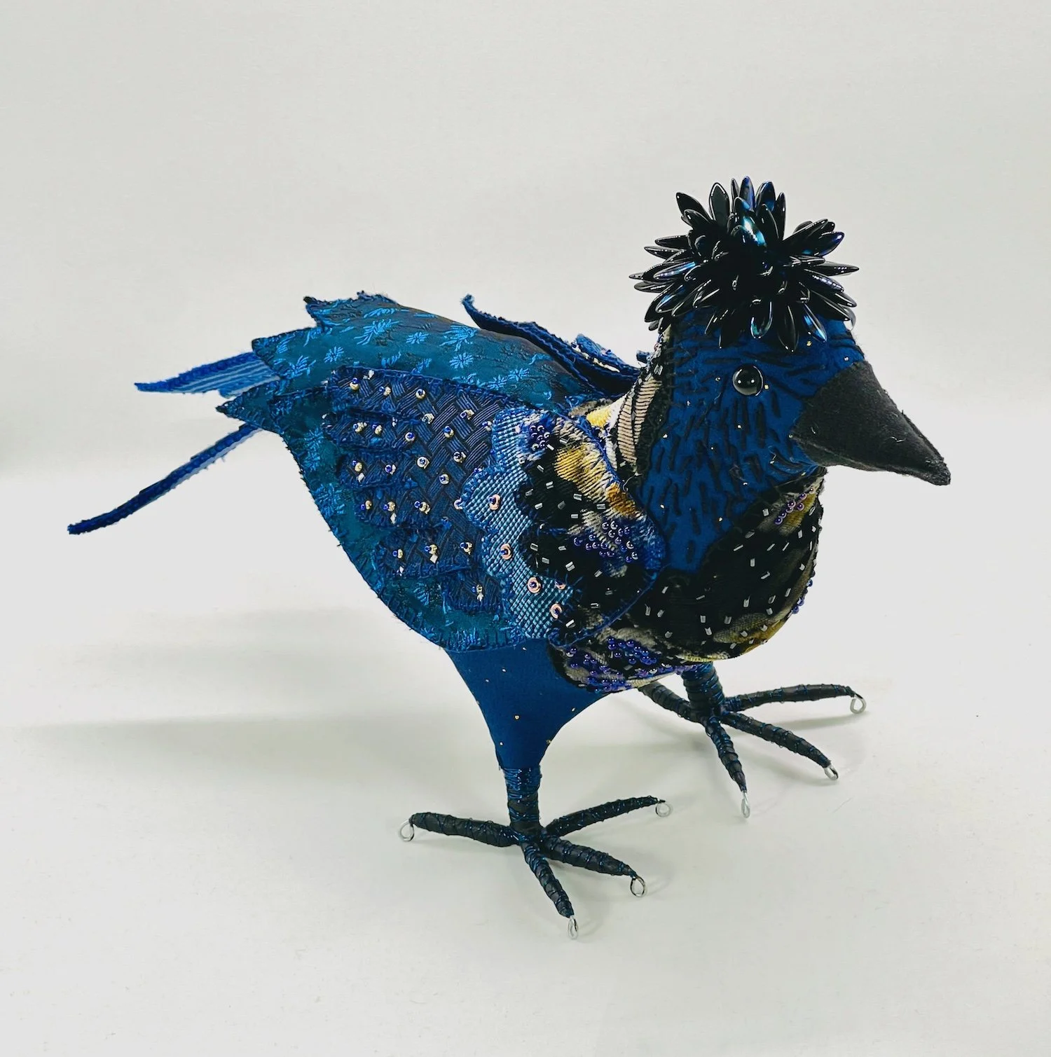 StellarJay.jpeg
