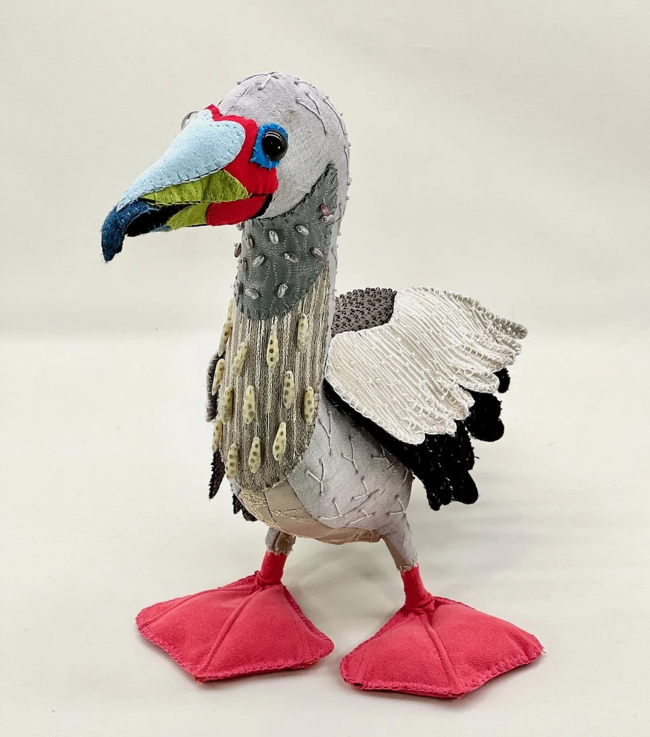 Immature RedFooted Booby