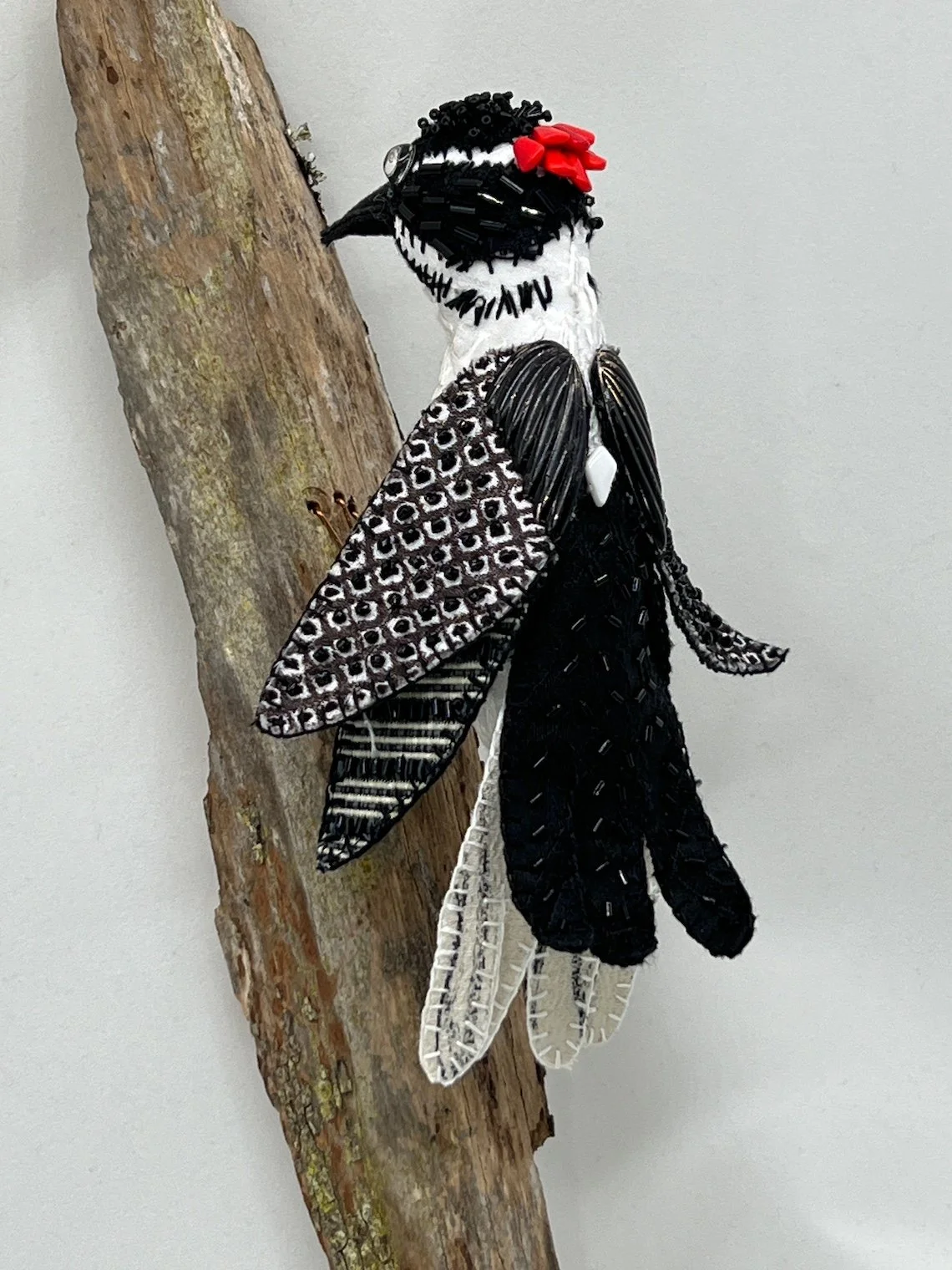 Downy Woodpecker