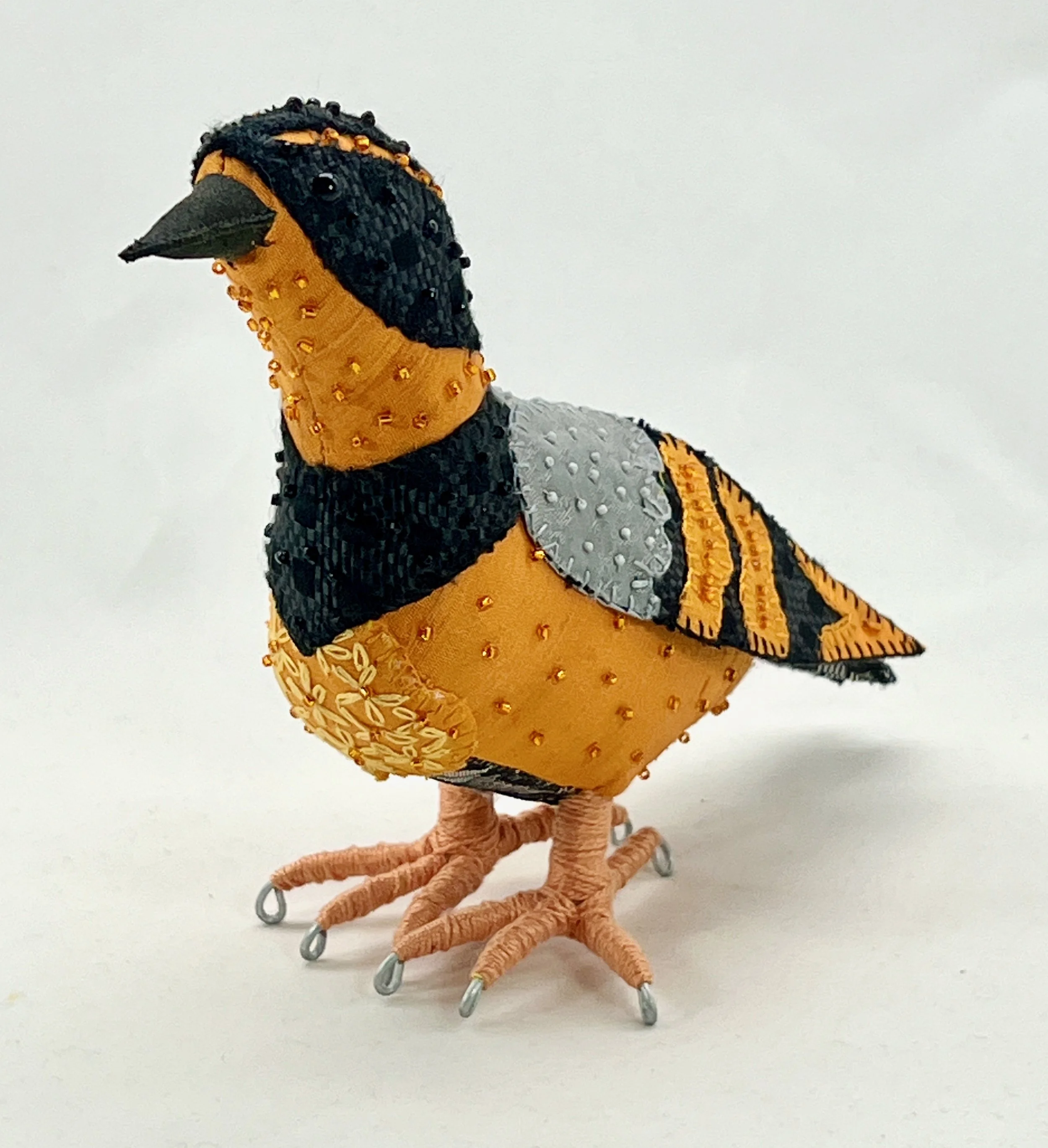 Varied Thrush