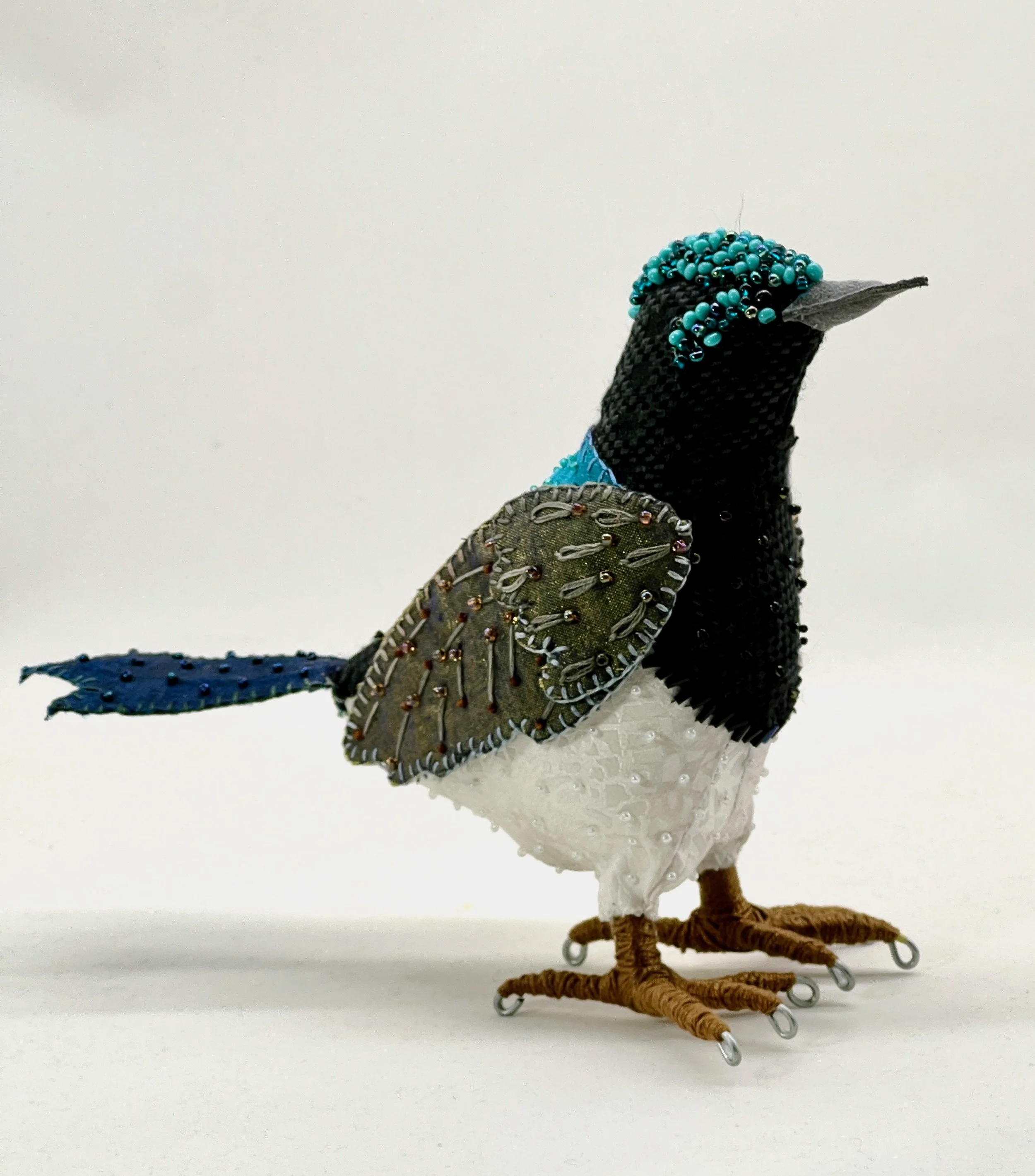 Australian Fairy Wren