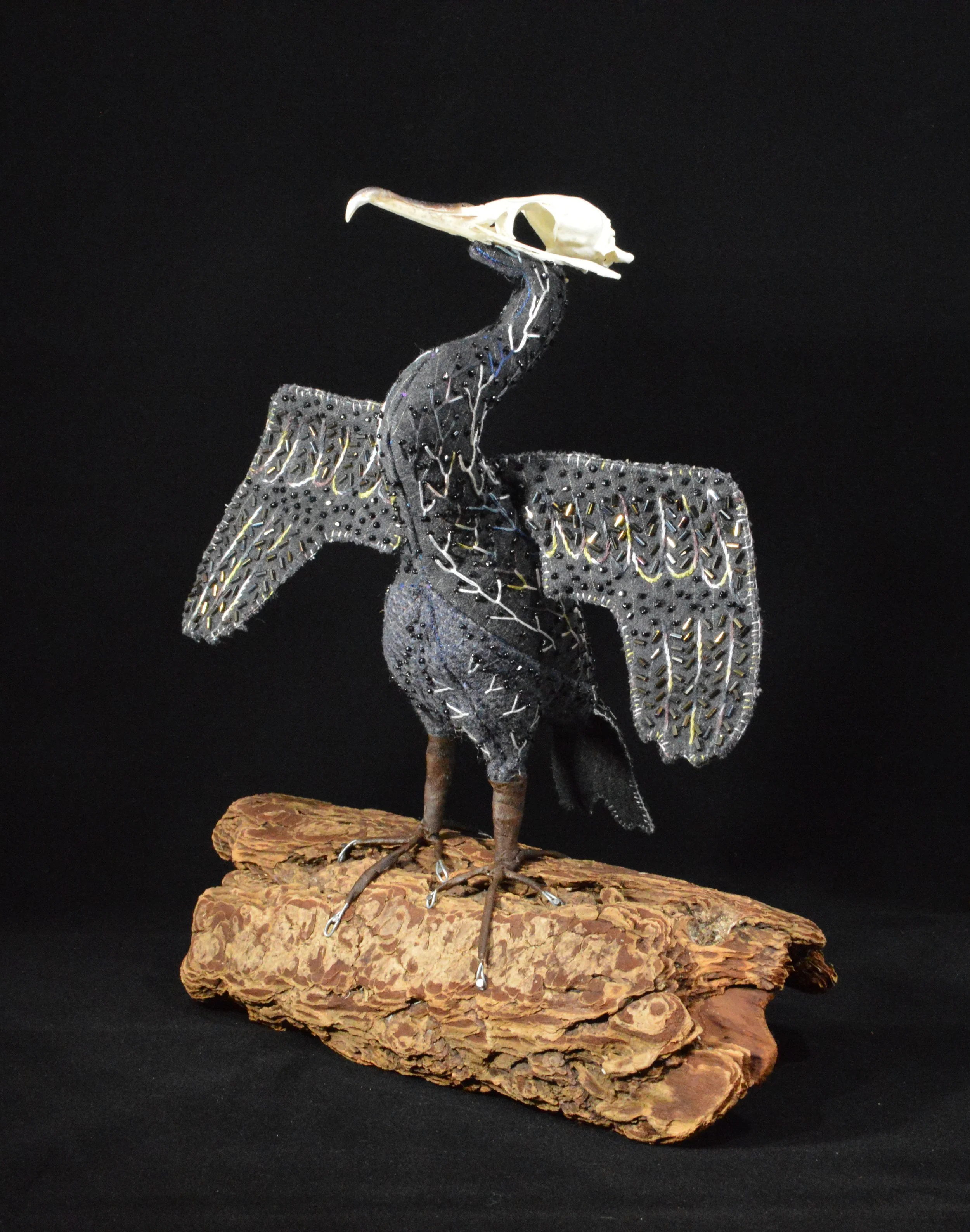 Cormorant