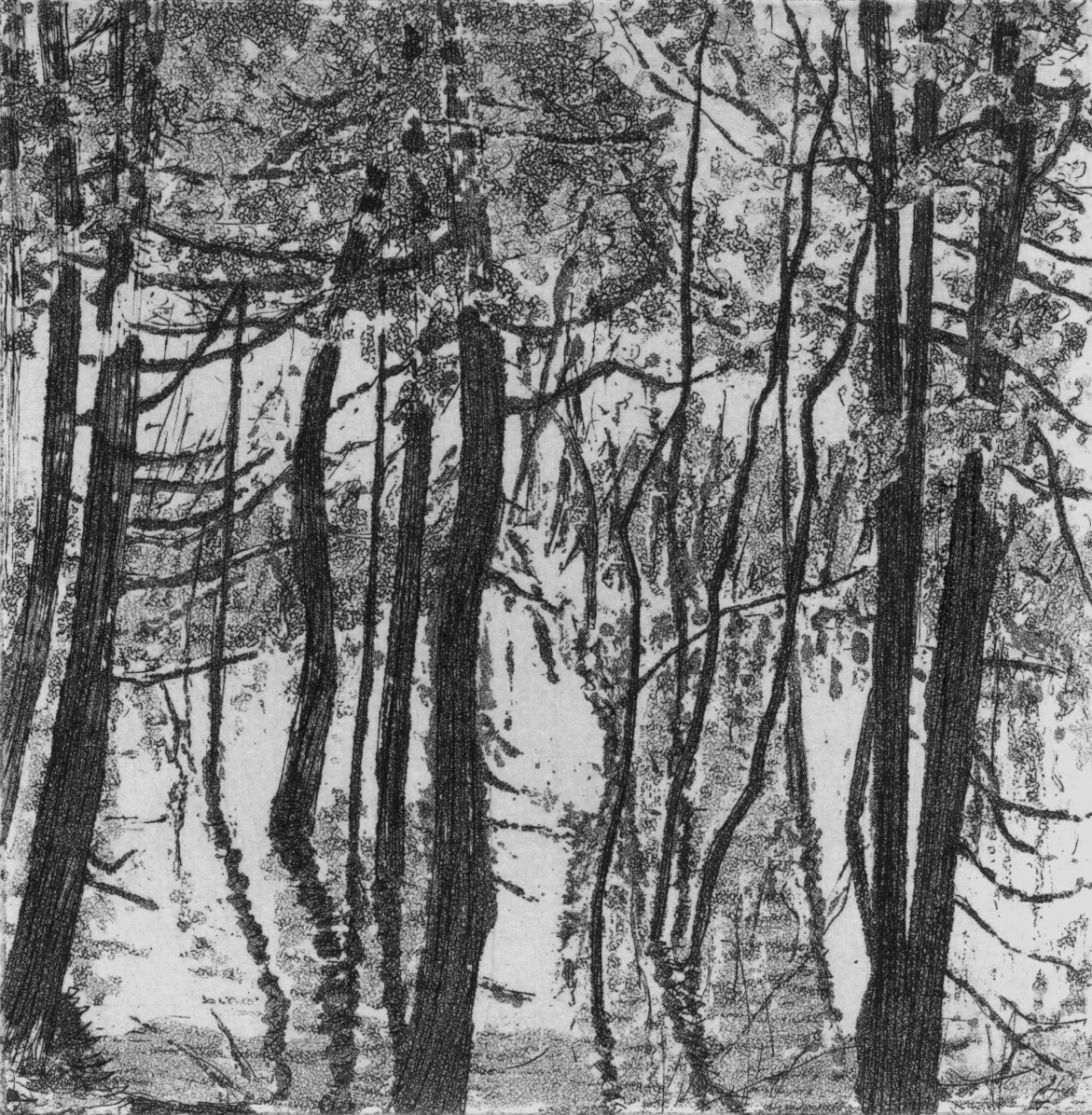 Reflets 4 (Suzie Allen)