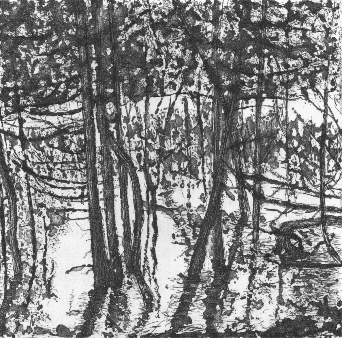 Reflets 6 (Suzie Allen)