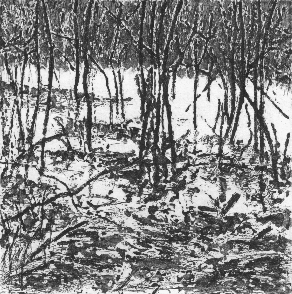 Reflets 7 (Suzie Allen)