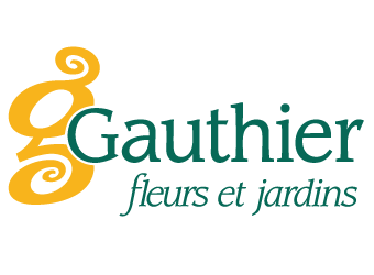 gauthier.png