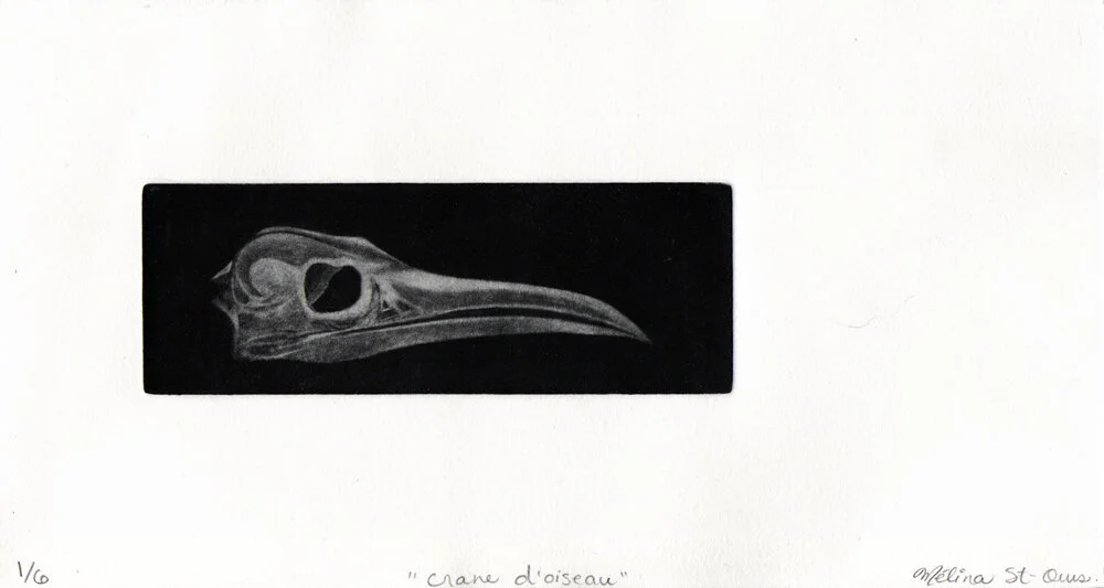 crane d'oiseau.jpg