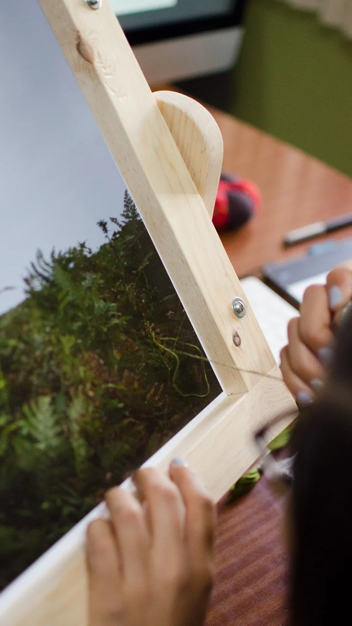 WhatsApp Image 2018-07-22 at 22.12.51 (2).jpeg