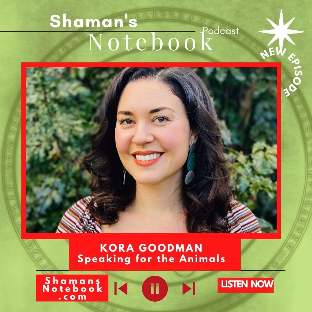 Shaman's Notebook Podcast Feature