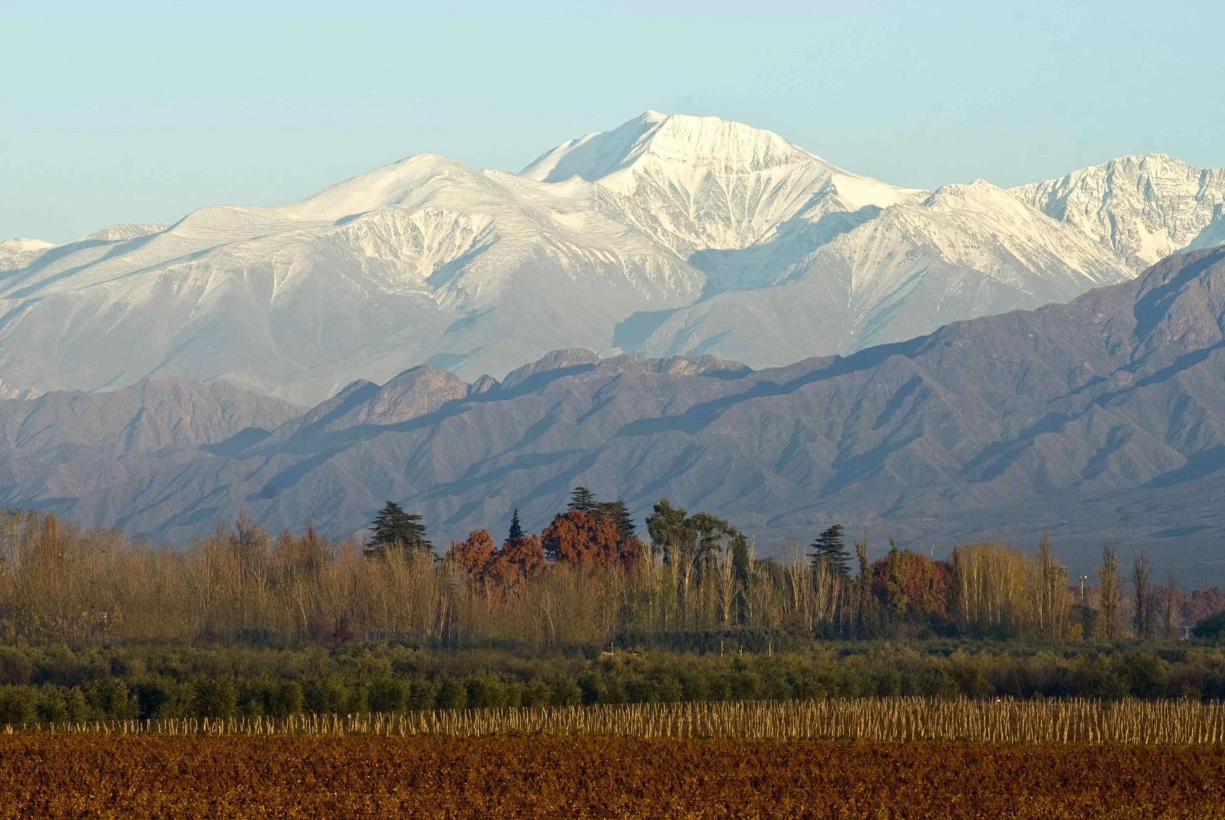 2 - Otero Ramos - Vineyards at the foothills of the Andes.jpg
