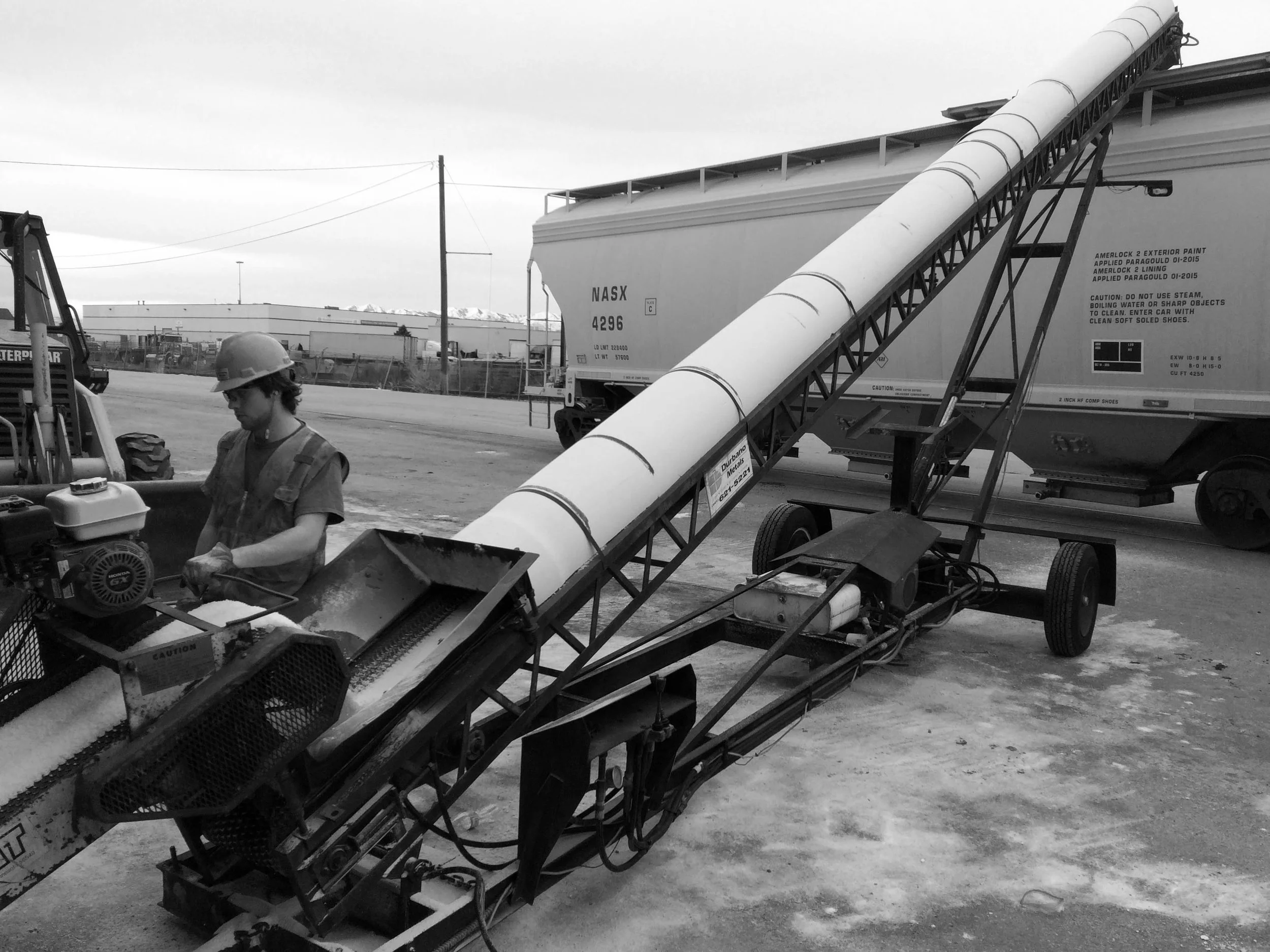 IMG_0979_transload.jpg