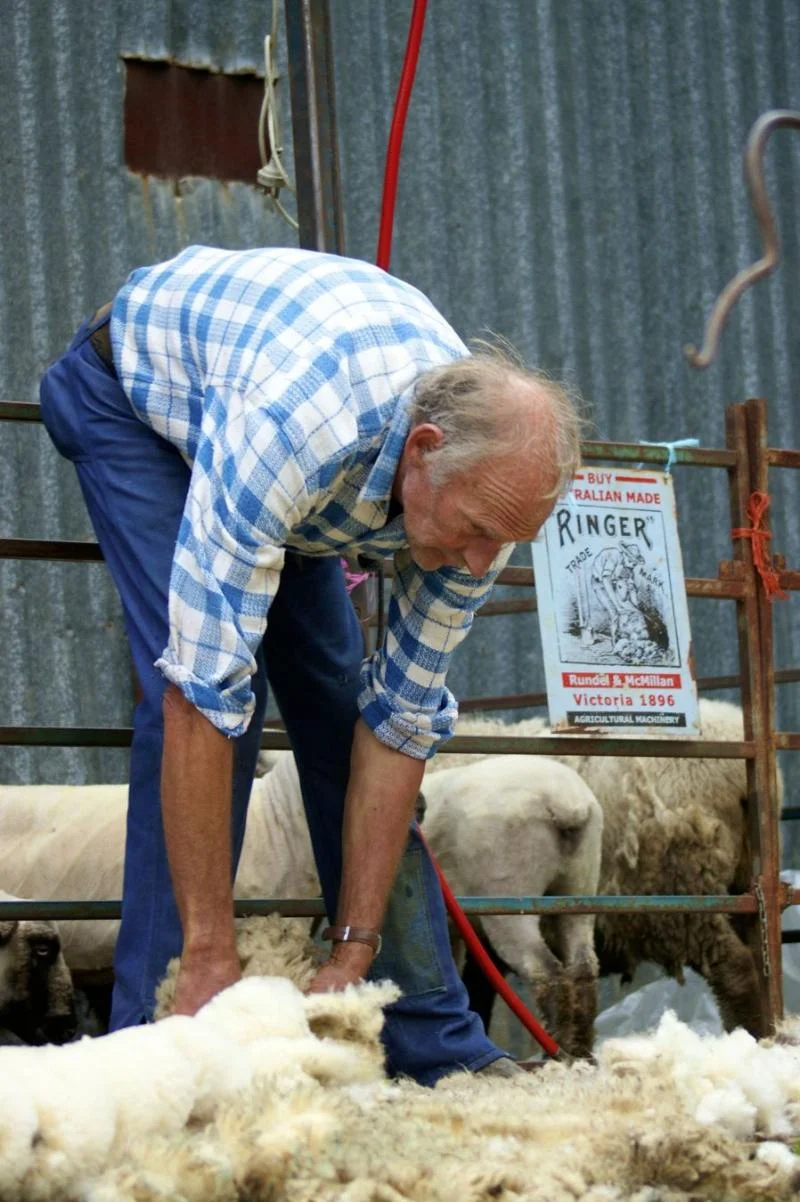 sheering demo.jpg