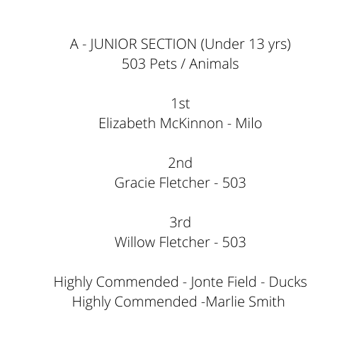 A - JUNIOR SECTION (Under 13 yrs) 502 Landscape _ Nature 1st Charlotte Danger- Beach bubble - 2nd Jonte Field - sand and water 3rd Elizabeth McKinnon - Butterfly Highly Commended Charlotte Danger- Rope  (1).png