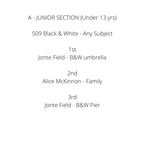 A - JUNIOR SECTION (Under 13 yrs) 502 Landscape _ Nature 1st Charlotte Danger- Beach bubble - 2nd Jonte Field - sand and water 3rd Elizabeth McKinnon - Butterfly Highly Commended Charlotte Danger- Rope  (6).png