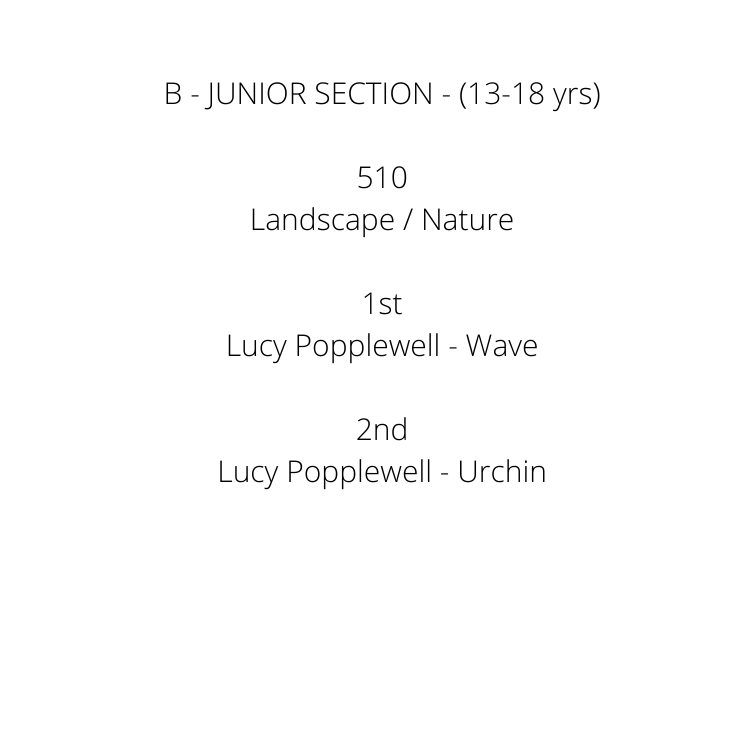 A - JUNIOR SECTION (Under 13 yrs) 502 Landscape _ Nature 1st Charlotte Danger- Beach bubble - 2nd Jonte Field - sand and water 3rd Elizabeth McKinnon - Butterfly Highly Commended Charlotte Danger- Rope  (7).png