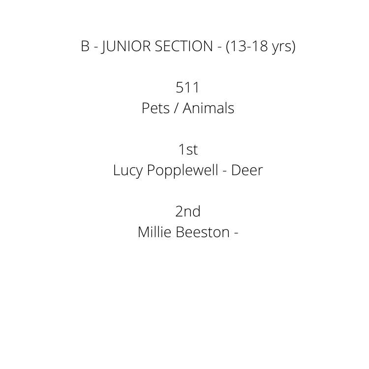 A - JUNIOR SECTION (Under 13 yrs) 502 Landscape _ Nature 1st Charlotte Danger- Beach bubble - 2nd Jonte Field - sand and water 3rd Elizabeth McKinnon - Butterfly Highly Commended Charlotte Danger- Rope  (8).png