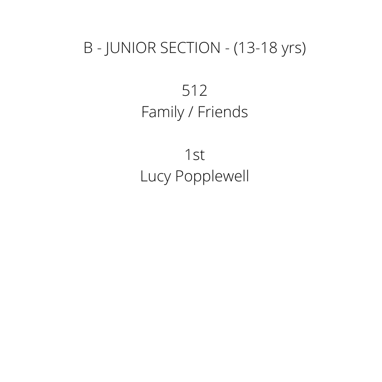 A - JUNIOR SECTION (Under 13 yrs) 502 Landscape _ Nature 1st Charlotte Danger- Beach bubble - 2nd Jonte Field - sand and water 3rd Elizabeth McKinnon - Butterfly Highly Commended Charlotte Danger- Rope  (9).png