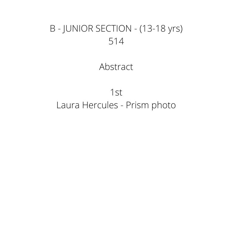 A - JUNIOR SECTION (Under 13 yrs) 502 Landscape _ Nature 1st Charlotte Danger- Beach bubble - 2nd Jonte Field - sand and water 3rd Elizabeth McKinnon - Butterfly Highly Commended Charlotte Danger- Rope (11).png