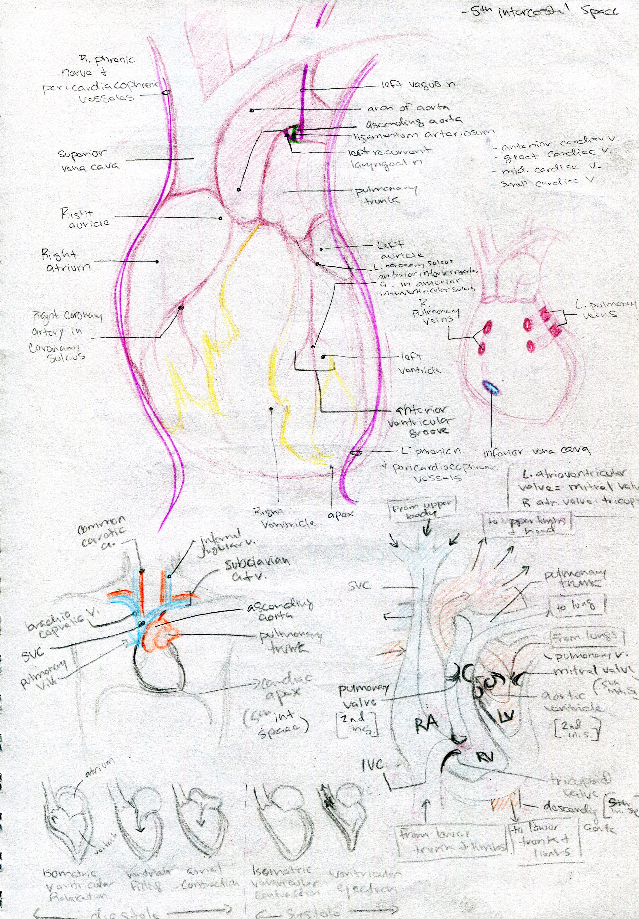 MossE_sketches_Page_2.jpg