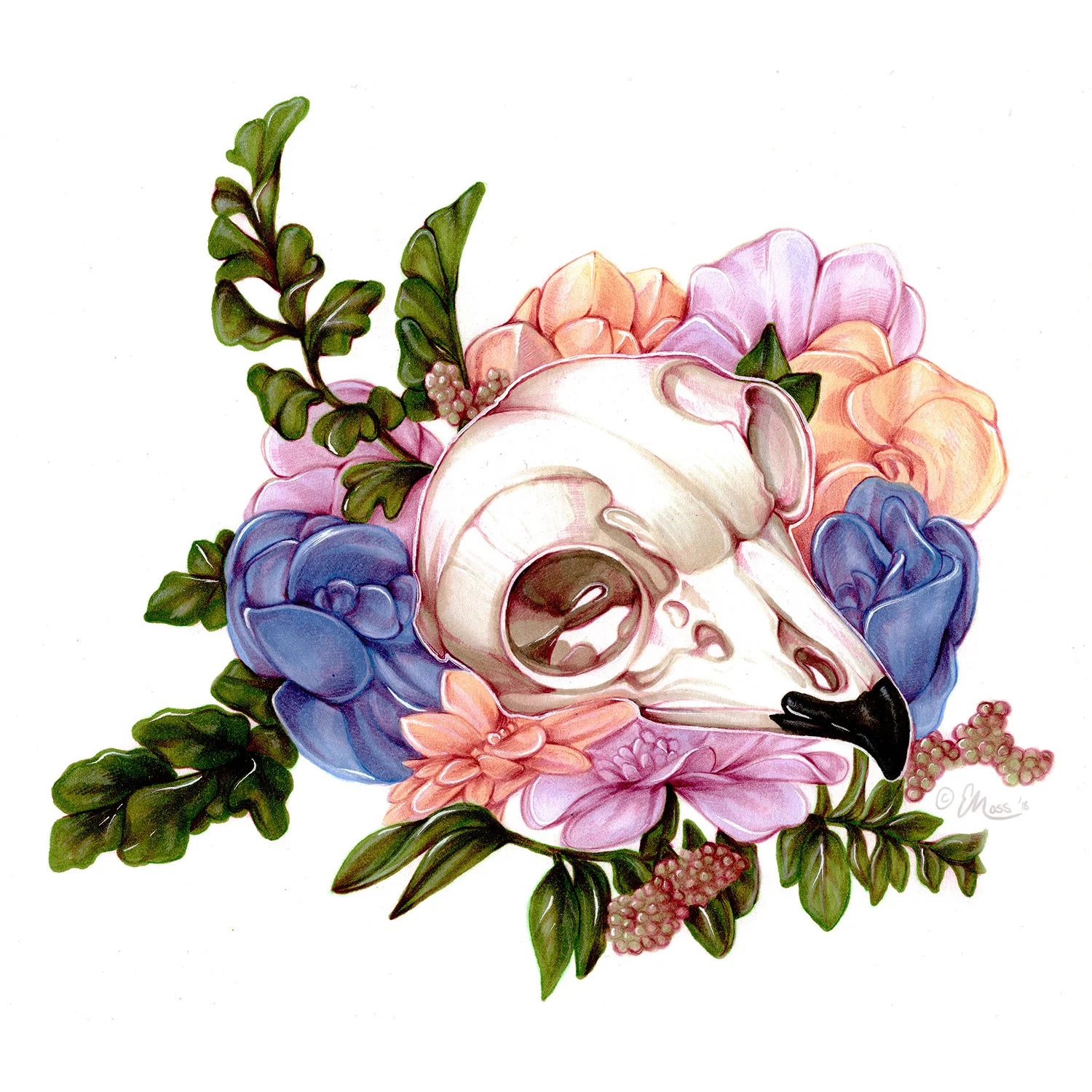 Horned Owl Skull