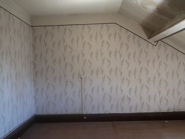 P1020830.jpg