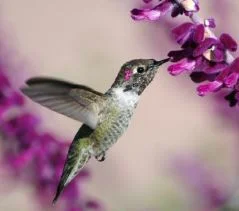 Heart Magnet Square.JPG