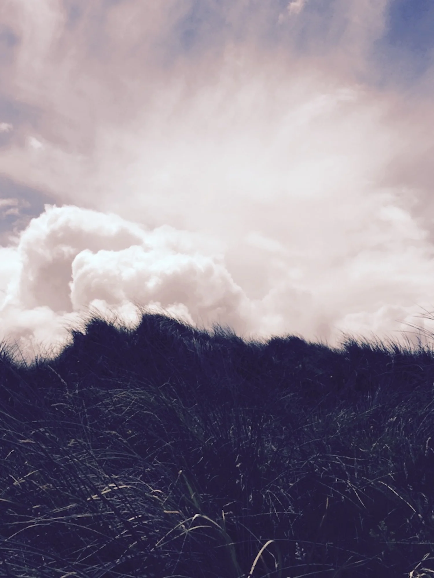 ROLLING CLOUDS GRASSES IRELAND.jpeg
