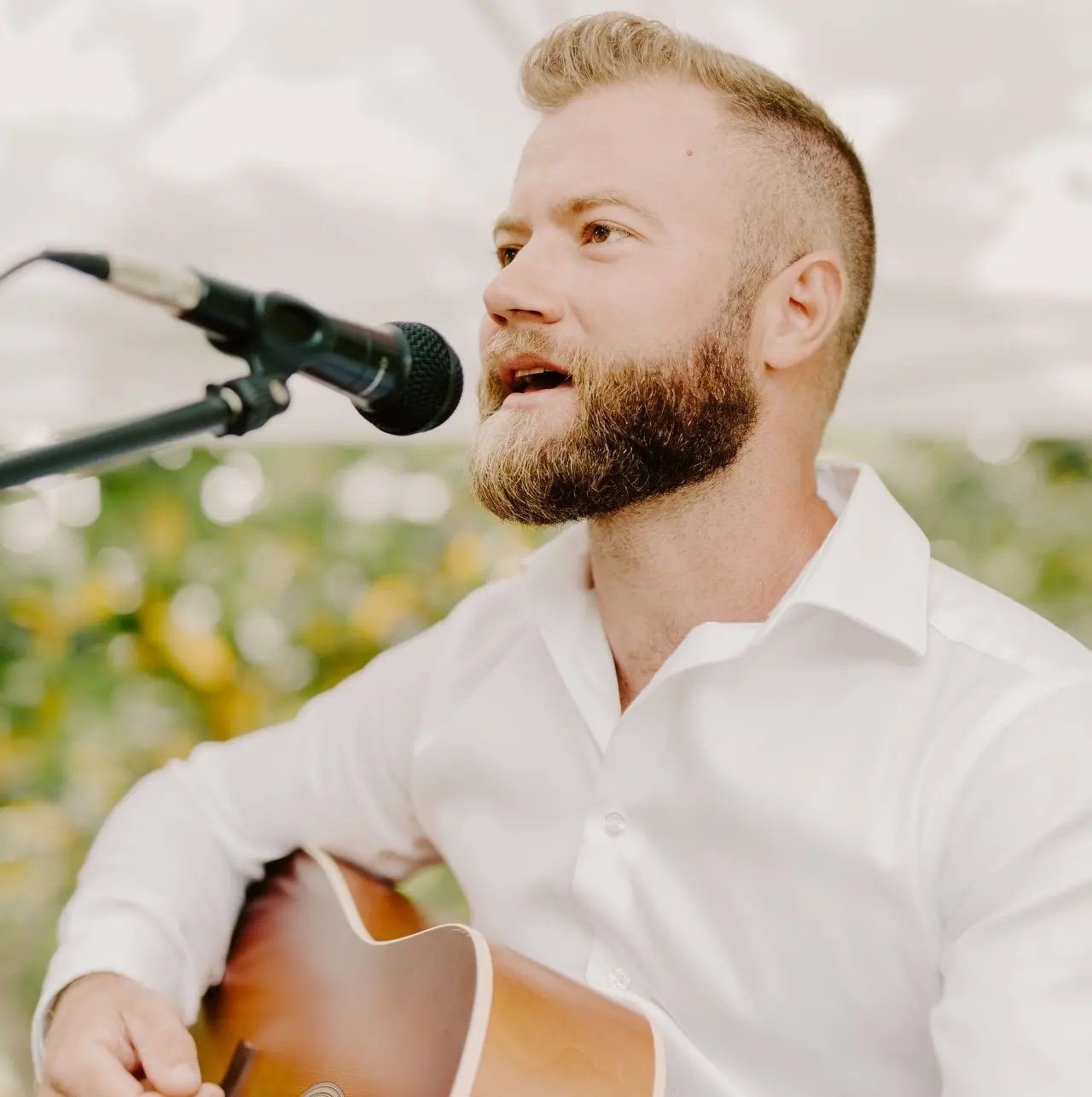 Sean Petersen Live